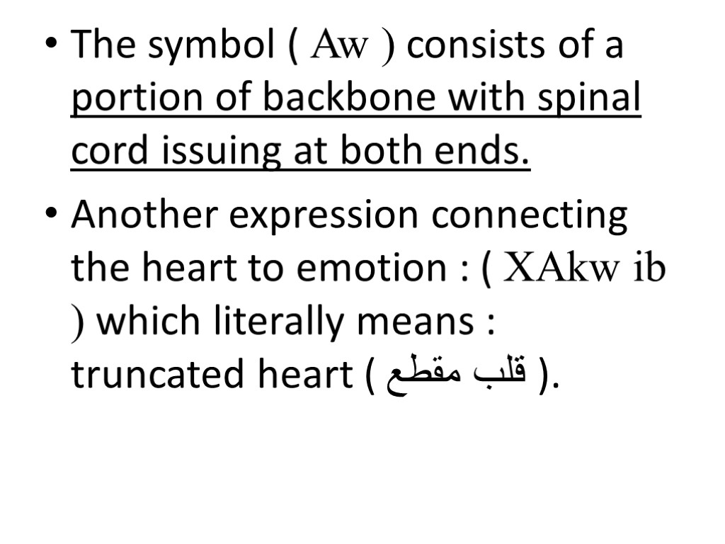 The symbol ( Aw ) consists of a portion of backbone with spinal cord